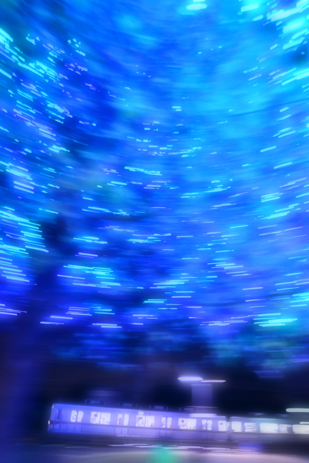 夢の世界