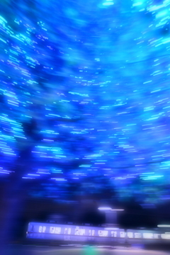 夢の世界