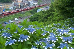 梅雨を行く快特