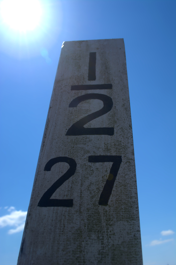 俺は２分の１？