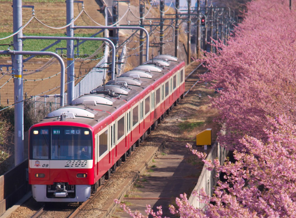 春に沿う赤い電車