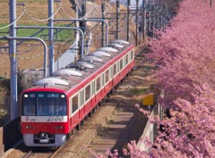 春に沿う赤い電車