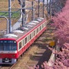 春に沿う赤い電車