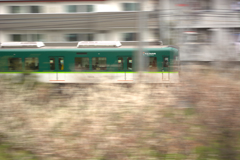 梅吹雪