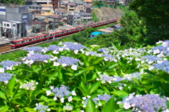 梅雨が訪れる前