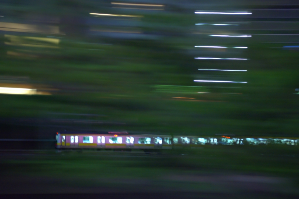 夜の森
