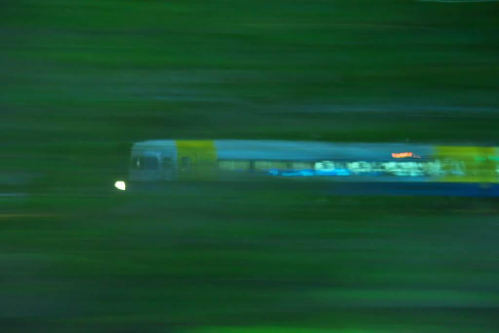 真夜中の緑を走る