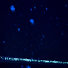 雨夜を駆ける