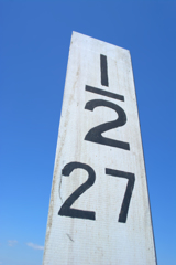２分の１？