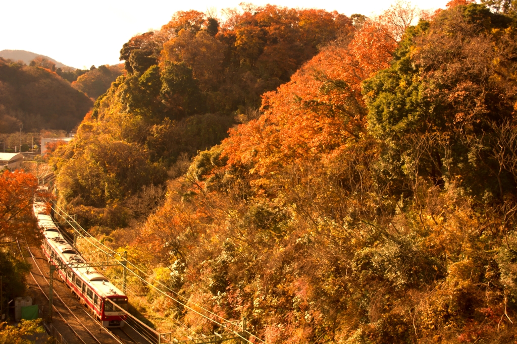 紅葉の山々を行く