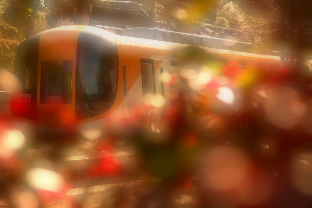 優しいカーテン