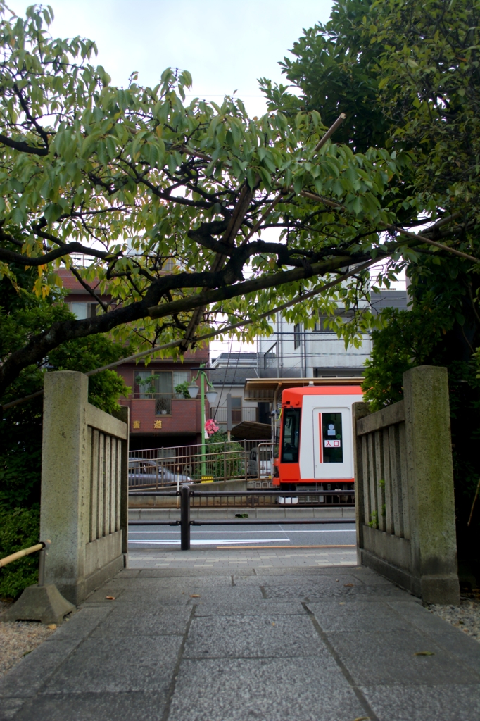 新緑通り