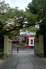 新緑通り