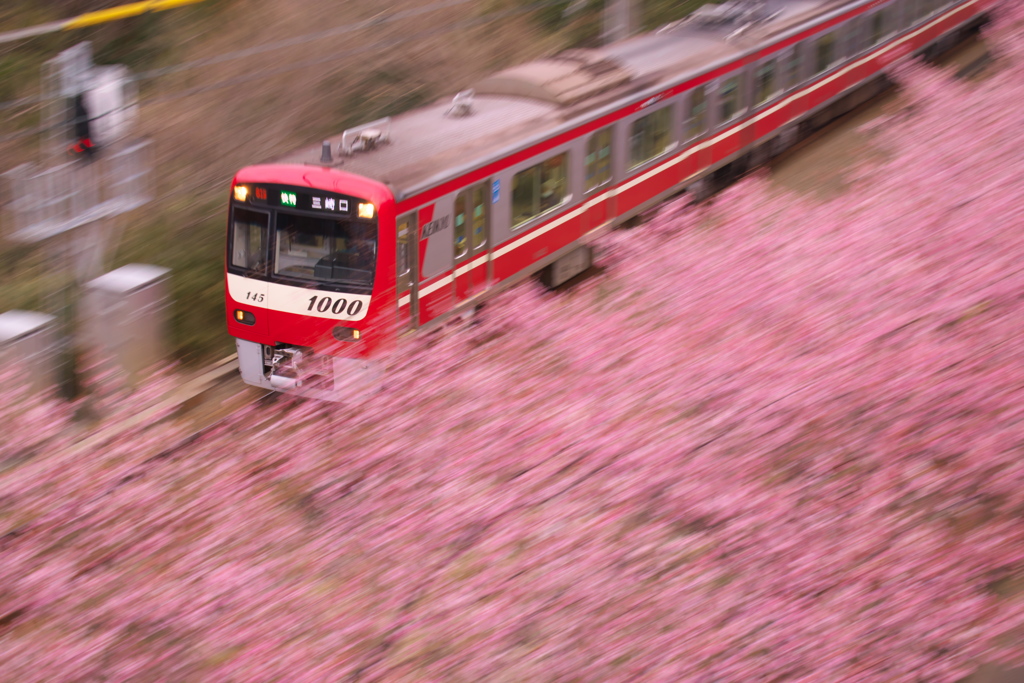 春を疾走