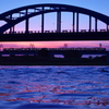 暮れる多摩川丸子橋