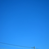 青とblue