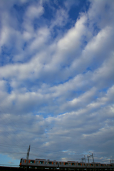 うろこ雲を渡って行く