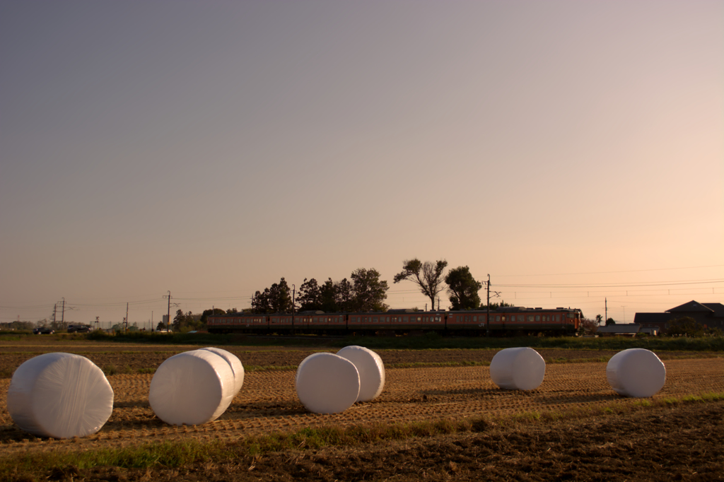 北海道の風景？