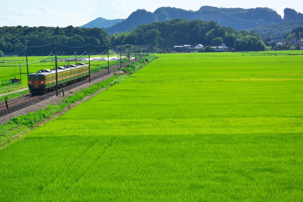 みどりに染まる