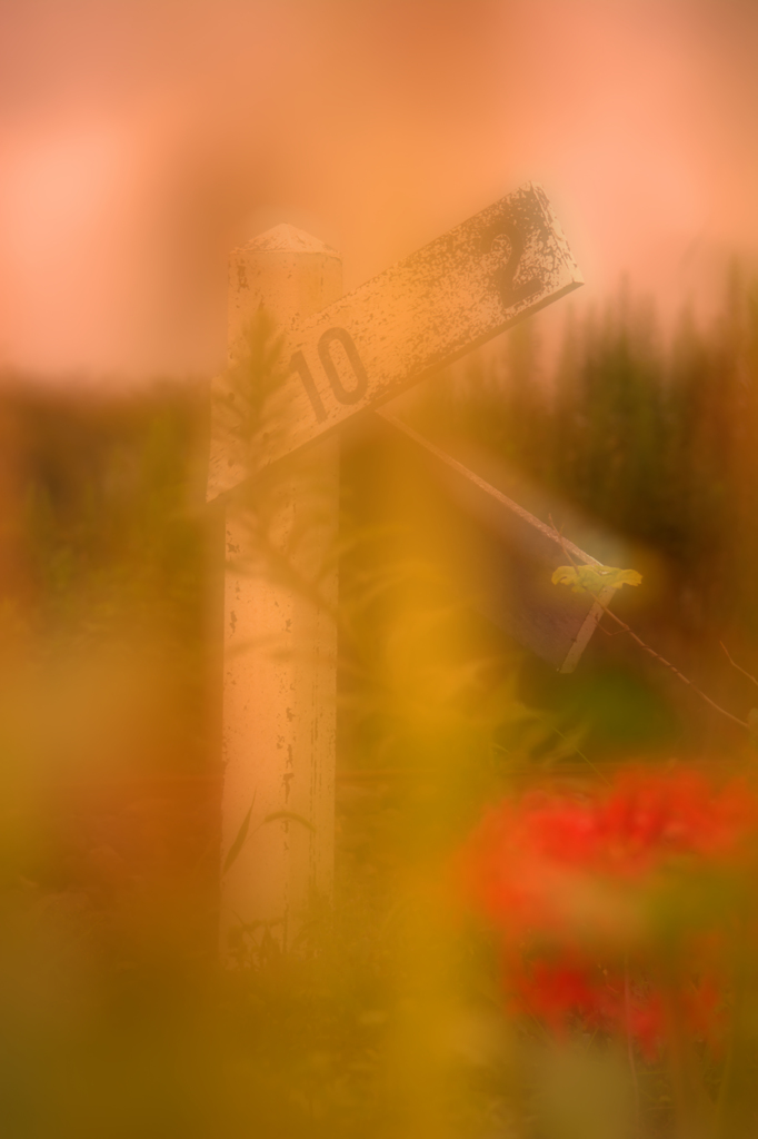 メルヘンチック