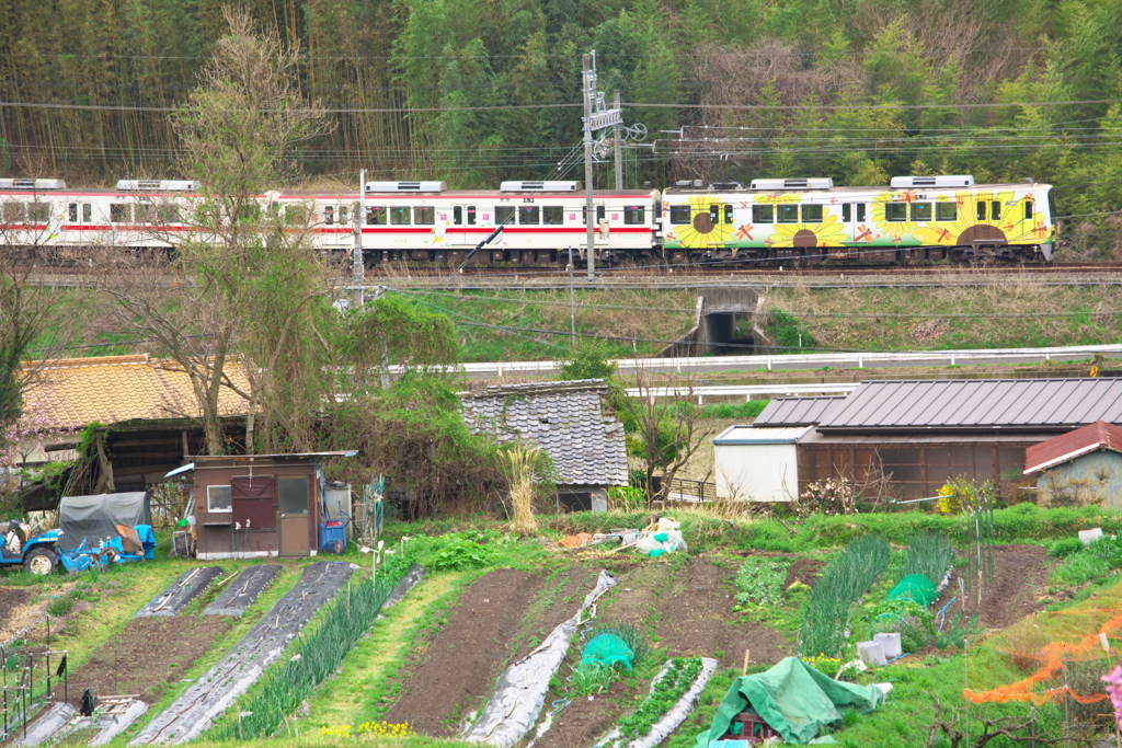 長閑な景色