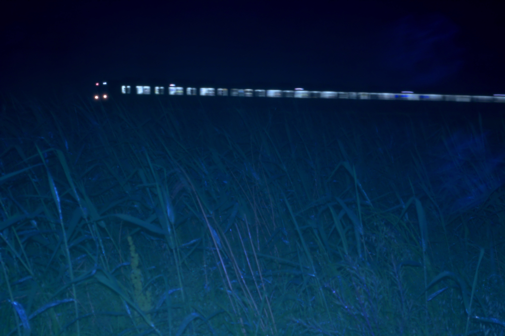 夜の原野