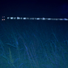 夜の原野