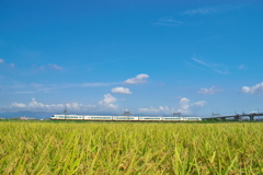 夏の田園風景を行く