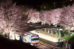 春爛漫の駅