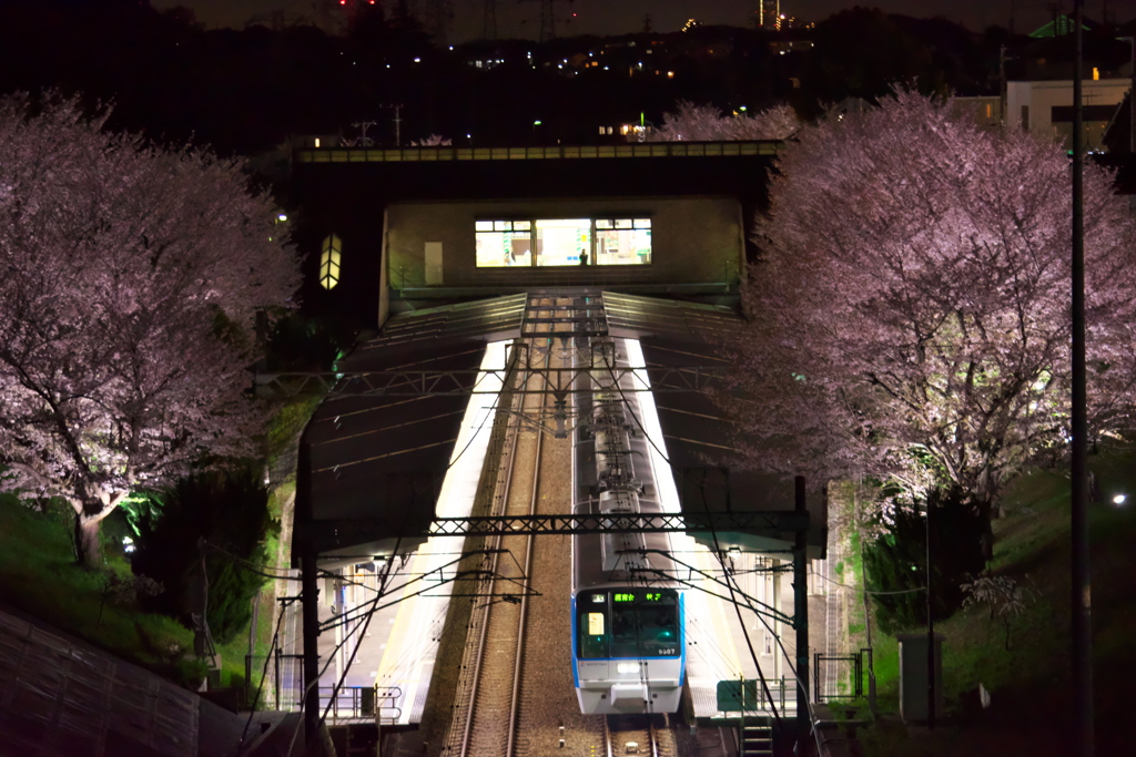 春の駅