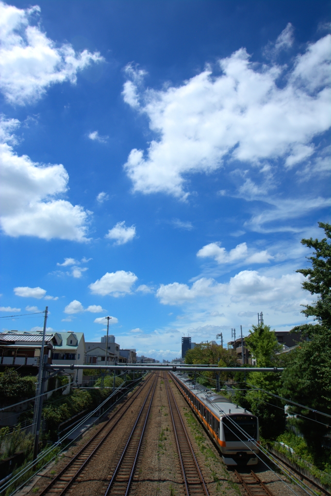 夏空の下を