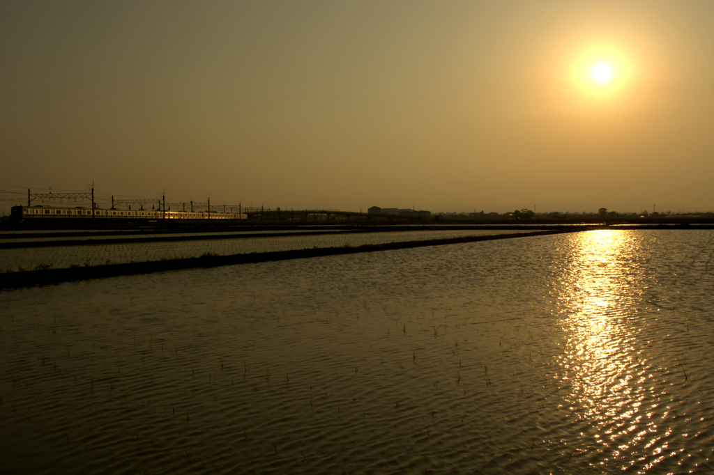 夕焼けの水田地帯