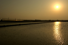 夕焼けの水田地帯