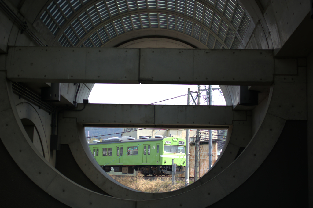 すきまからウグイス