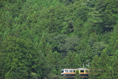 深緑列車