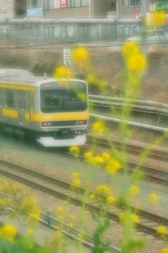 優しい春