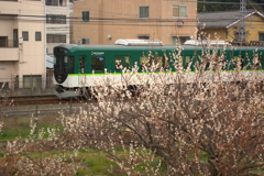梅けいはん