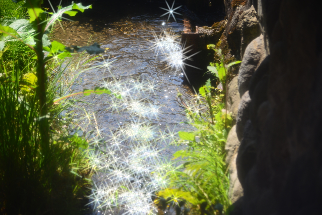 キラキラ✨水路