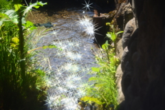 キラキラ✨水路