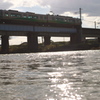 輝く川面