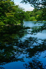 池