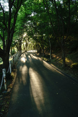 道