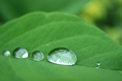 雨でも楽しみましょう(^^)6