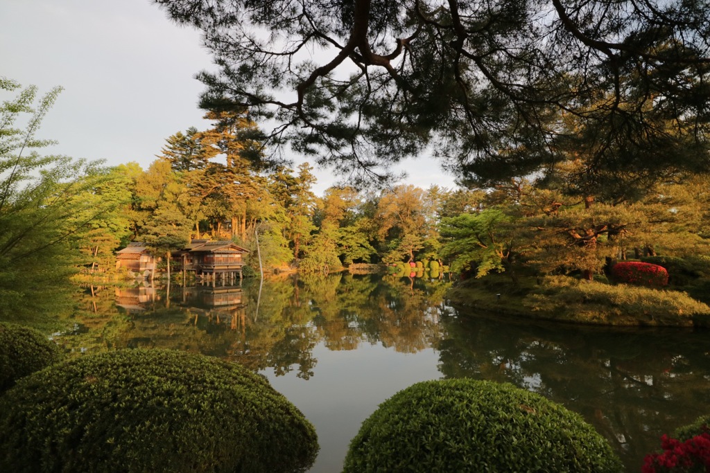 早朝狙いは正解でしたね(^^)