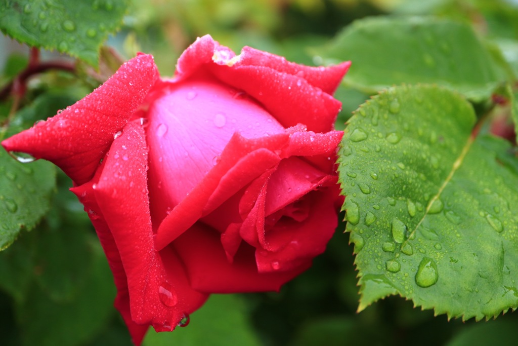 雨でも楽しみましょう(^^)