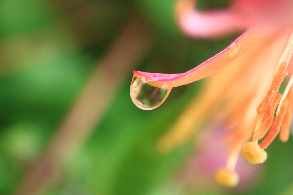 雨でも楽しみましょう(^^)10