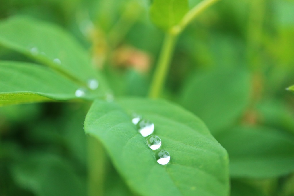 雨でも楽しみましょう(^^)7