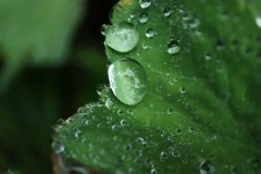 雨でも楽しみましょう(^^)4