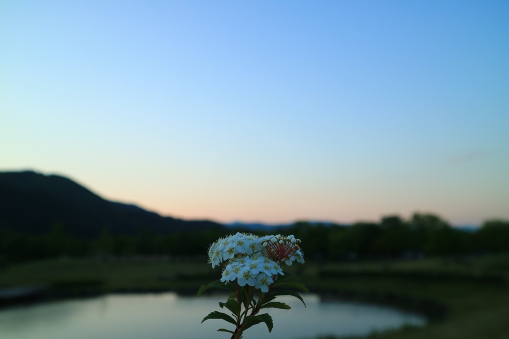 こんなの撮ってみた(^^)