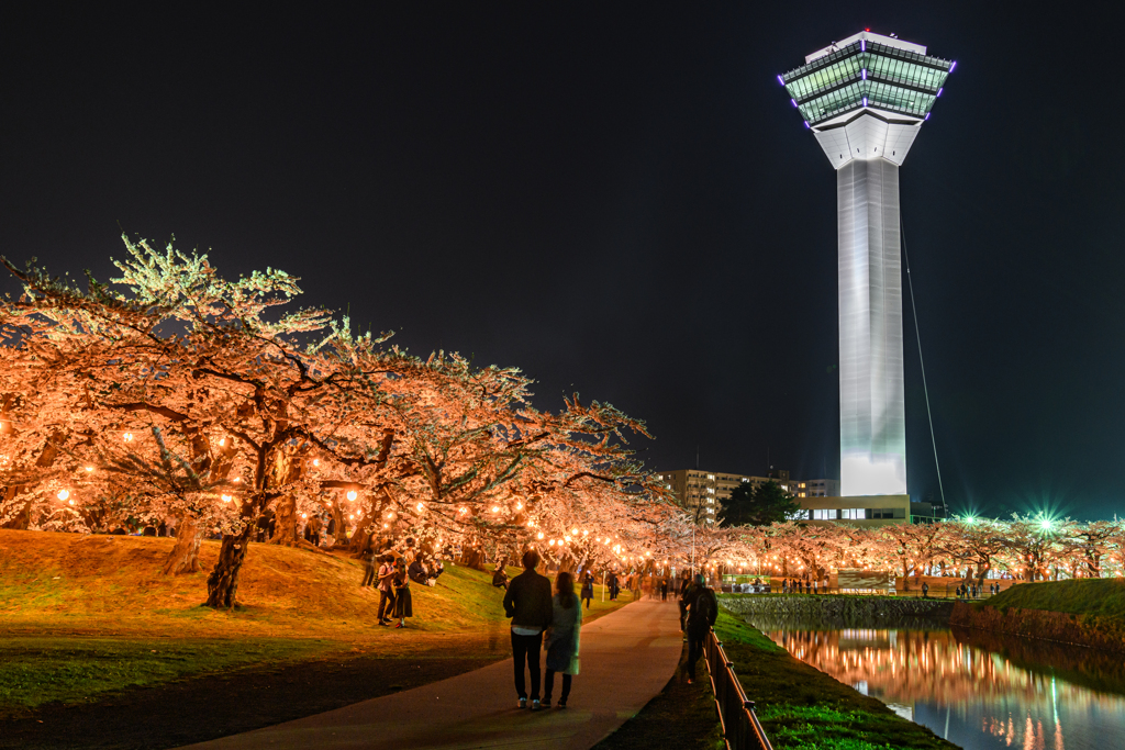 夜桜タワー